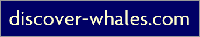 discover-whales.com