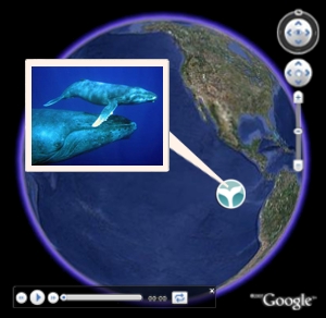 Google Earth and Maps