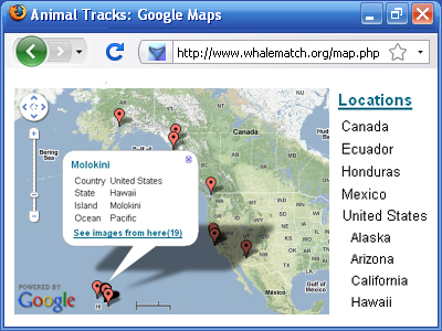 Animal Tracks in Google Maps
