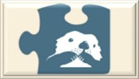 Otter Project